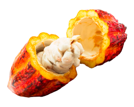 AÇAI4
