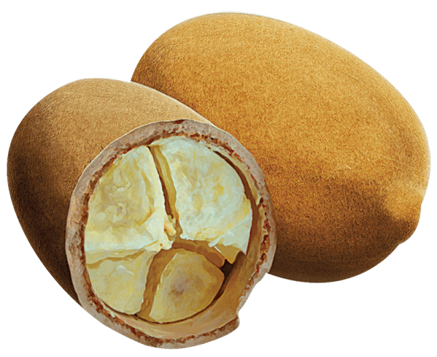 cupuaçu