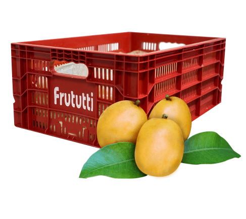 Peso Líquido 25kg - 
*Caixa não inclusa.