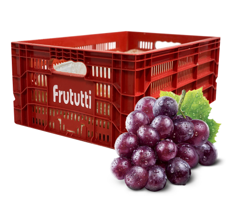 Peso Líquido 25kg - 
*Caixa não inclusa.